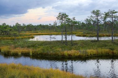 Kemeri Ulusal Parkı, Letonya 