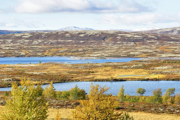Forollhogna nationalpark, norwegen — Stockfoto