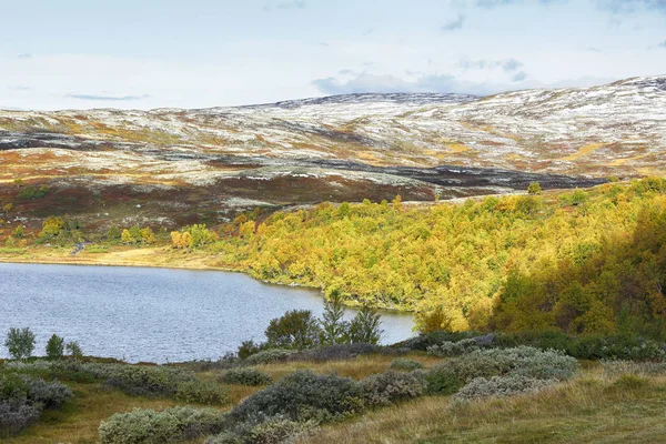 Parco Nazionale di Forollhogna, Norvegia — Foto Stock