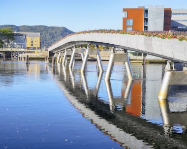 Çiçek Köprüsü, Trondheim 