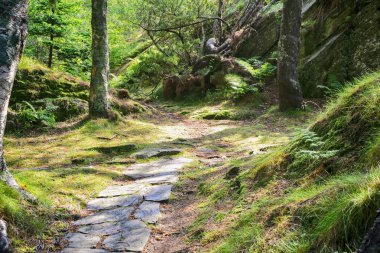 Skudeneshavn, Norway 