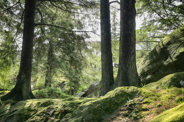 Skudeneshavn, Norway — Stockfoto