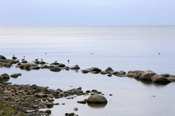 Rigas bay coast, Latvia — Stock Photo, Image