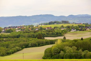 Tarım alanı Byneset Trondheim yakınlarında, ilkbaharda 