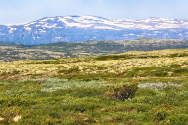 Oppdal bölgesindeki dağların havadan görünüşü. Fotoğraf, Innerdalen (Innset) Norveç 'te bulunan Kletten Dağı' nın tepesinden çekildi. 