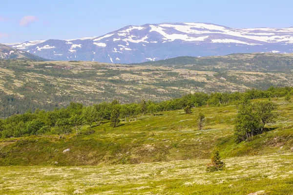 Aerial View Mountains Oppdal District Norway Picture Taken Fra Mountain — Stock Photo, Image