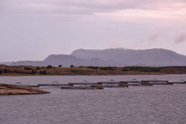 Leknes Adası Norveç Denizi 'nde Yazın gece yarısı ışığında 