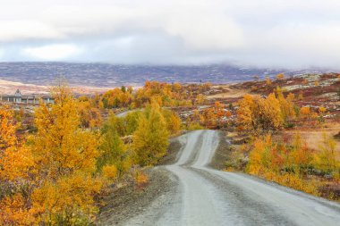 Forollhogna Ulusal Parkı 'na düştü, Norveç 