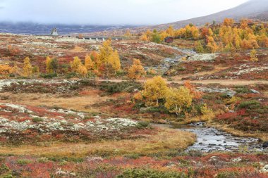 Forollhogna Ulusal Parkı 'na düştü, Norveç 