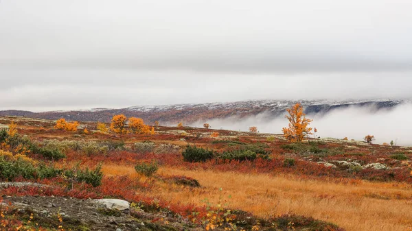 Πτώση Στο Εθνικό Πάρκο Forollhogna Νορβηγίας — Φωτογραφία Αρχείου