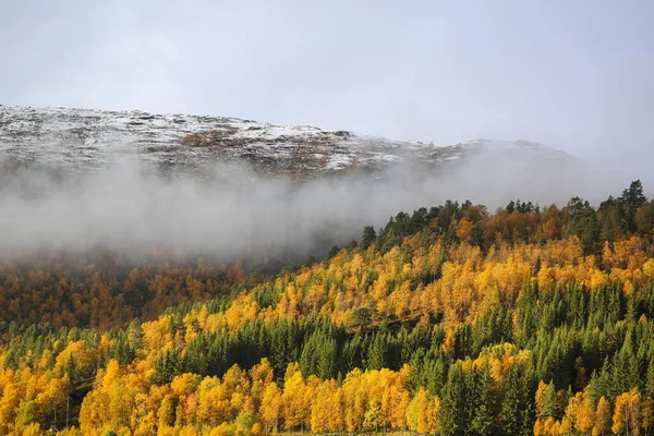 Πρώτο Χιόνι Στα Βουνά Περιοχή Kvikne Νορβηγία — Φωτογραφία Αρχείου