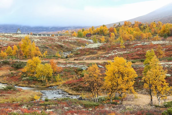 ノルウェーのフォルロホグナ国立公園に秋 — ストック写真