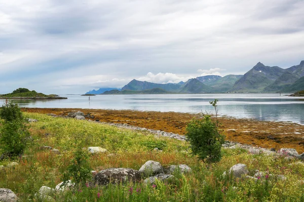 ノルウェーの海岸線 ロフトテン島の風景 — ストック写真