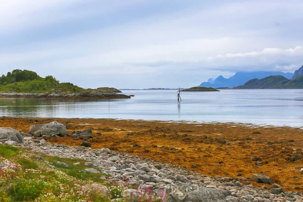 ノルウェーの海岸 ロフトテン島の風景 — ストック写真