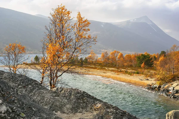 Podzim Norského Jezera Gjevlvatnet — Stock fotografie