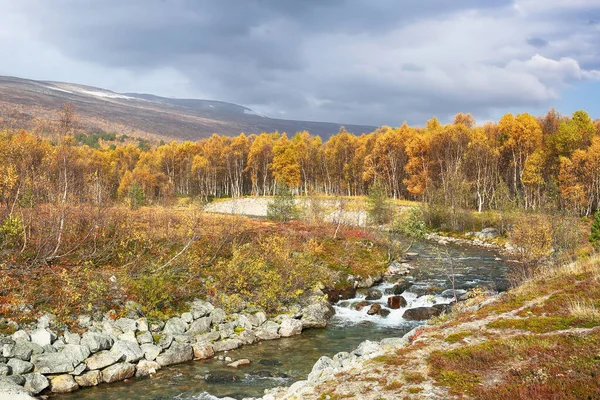 Řeka Tekoucí Jezeru Gjevilvatnet Podzimní Krajina Nad Jezerem — Stock fotografie