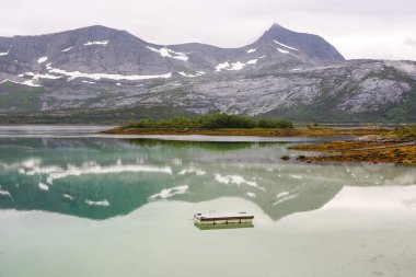 Norveç fiyordunun yaz sisli günündeki görüntüsü 