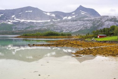 Yaz sisli gününde Norveç fiyort Indrefjord ve Moeysalen Ulusal Parkı manzarası 