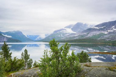 Norveç fiyort Indrefjorden ve Moeysalen Milli Parkı manzarası 