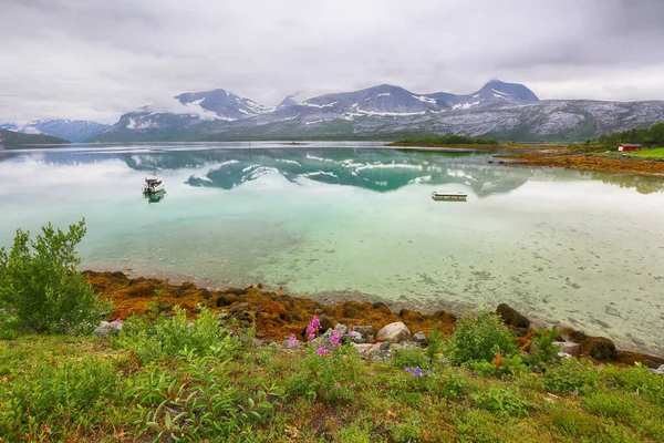 Norveç fiyort manzarası Indrefjorden iand Moeysalen Ulusal Parkı sisli yaz gününde