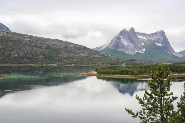 Vista Fiorde Norueguês Indrefjorden Parque Nacional Moeysalen — Fotografia de Stock