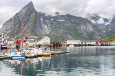 Hamnoeya 'daki Marina Norveç' in Lofoten adalarında yer almaktadır. 