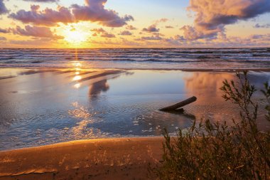 Letonya 'nın popüler turistik mekanı Saulkrasti' de renkli bir yaz günü. 