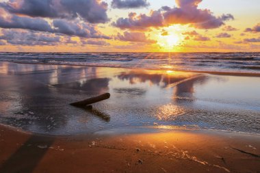 Letonya 'nın popüler turistik mekanı Saulkrasti' de renkli bir yaz günü. 