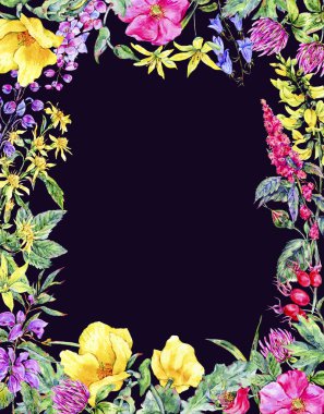 Kır çiçekleri suluboya yaz tıbbi dikey çerçeve çiçek, bitki