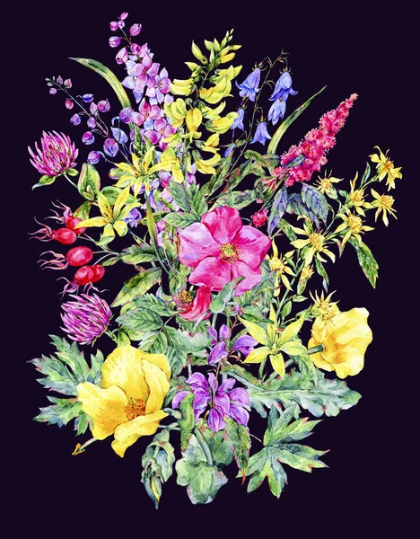 Tarjeta floral medicinal de verano acuarela, Planta de flores silvestres —  Fotos de Stock