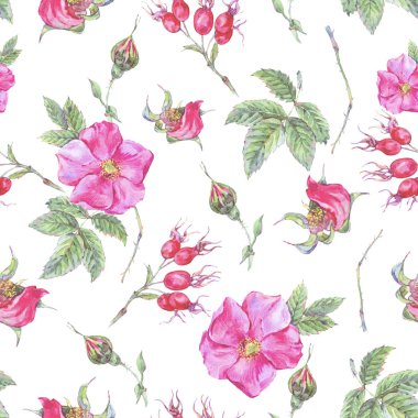 Suluboya yaz Dikişsiz desen köpek gül çiçek