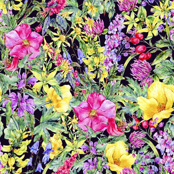 Acuarela verano patrón sin costura floral medicinal, plantas flores silvestres — Foto de Stock