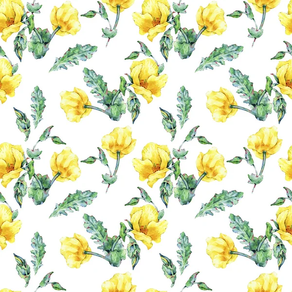 Watercolor summer seamless pattern of Horned Poppy yellow flowers — Stock Photo, Image
