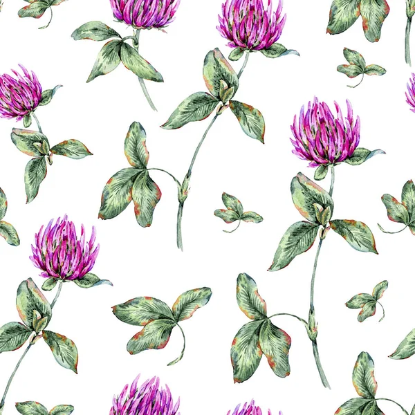 Aquarell Sommer nahtlose Muster von Heilblumen, Klee Alsike Pflanze — Stockfoto