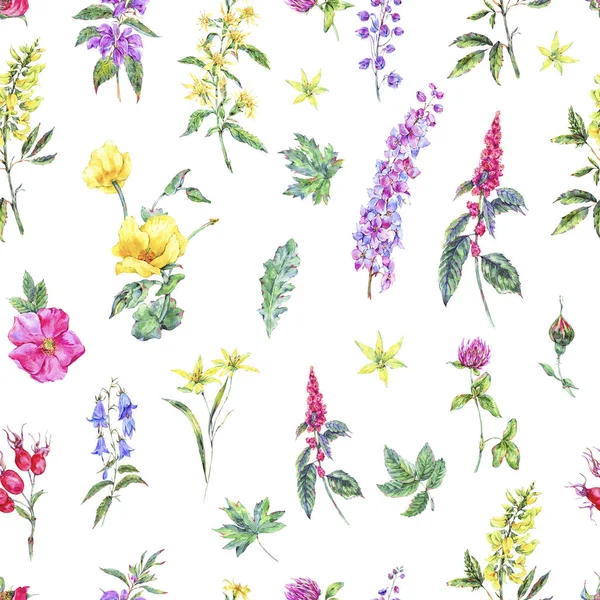 Acquerello estate medicinale floreale modello senza soluzione di continuità, Pianta Wildflowers — Foto Stock