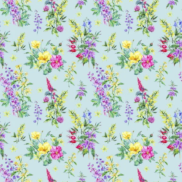 Watercolor summer seamless pattern of medicinal flowers — Stock Photo, Image