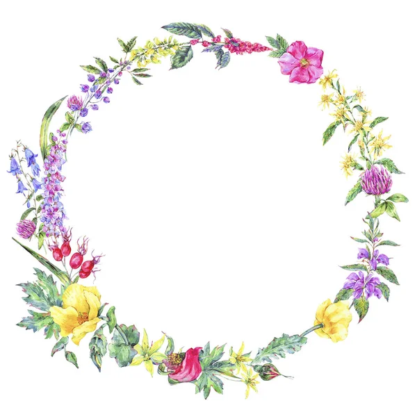 Watercolor summer medicinal floral wreath, Wildflowers plant — Stock Photo, Image