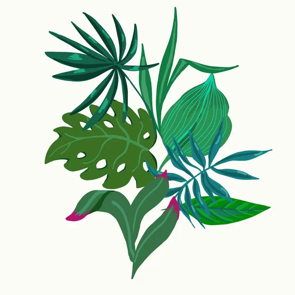 Vettoriale estate naturale vintage esotico biglietto di auguri con foglie tropicali, Illustrazione botanica — Vettoriale Stock