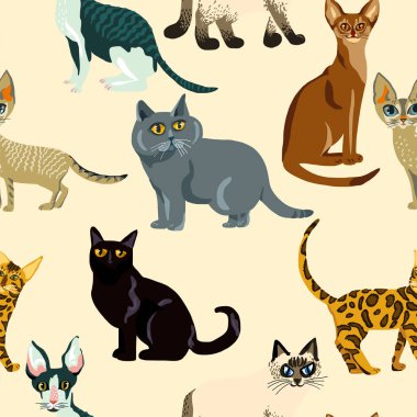 Karikatür kedi seamless modeli, illüstrasyon doğurmak-in cats