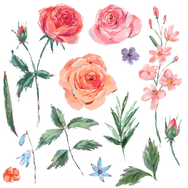 咲くピンクのバラのビンテージ セット — ストック写真