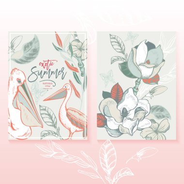 Vektör yaz tropikal vintage ayarla, manolya ve Pelikan