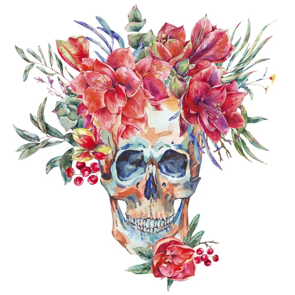 Акварель винтажный череп с красным цветком Amaryllis — стоковое фото