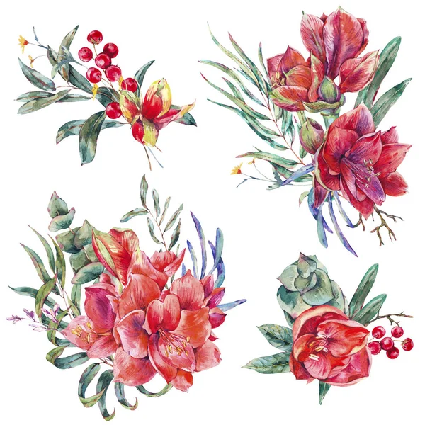 Akvarell virágos szett piros virágok Amarillisz — Stock Fotó