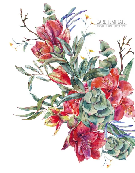 Akwarela kwiatowy szablon karty czerwonych kwiatów, amarylis — Zdjęcie stockowe