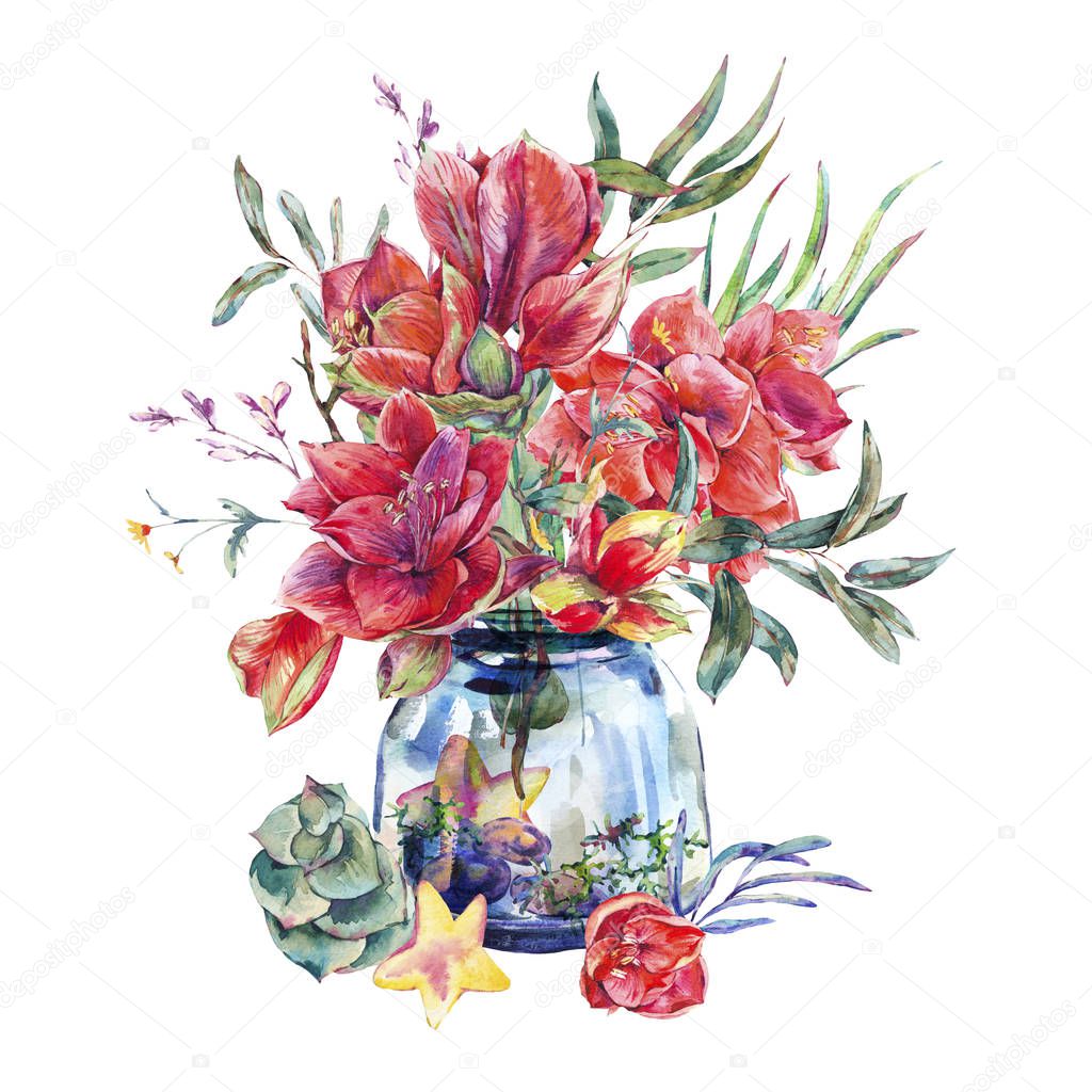 Watercolor glass  jar with bouquet of green leaves, Amaryllis, moss, eucalyptus and stars, botanical natural illustration isolated on white background, vintage design collection
