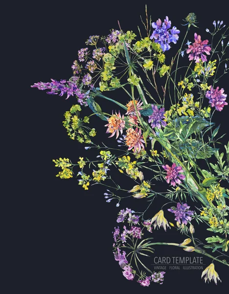 Aquarell Sommer Wildblumen botanische bunte Illustration — Stockfoto