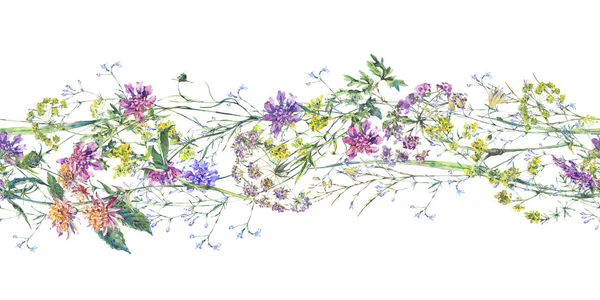 Akvarelu Letní kvítí bezešvé okraje Botanická barevné ilustrace — Stock fotografie