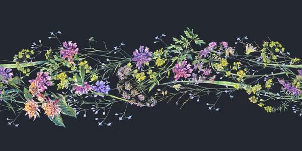 Aquarell Sommerwildblumen. botanische farbenfrohe Illustrationen — Stockfoto