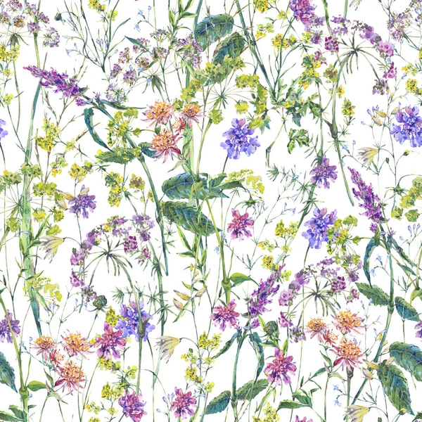 Aquarell Sommer Wildblumen nahtloses Muster — Stockfoto
