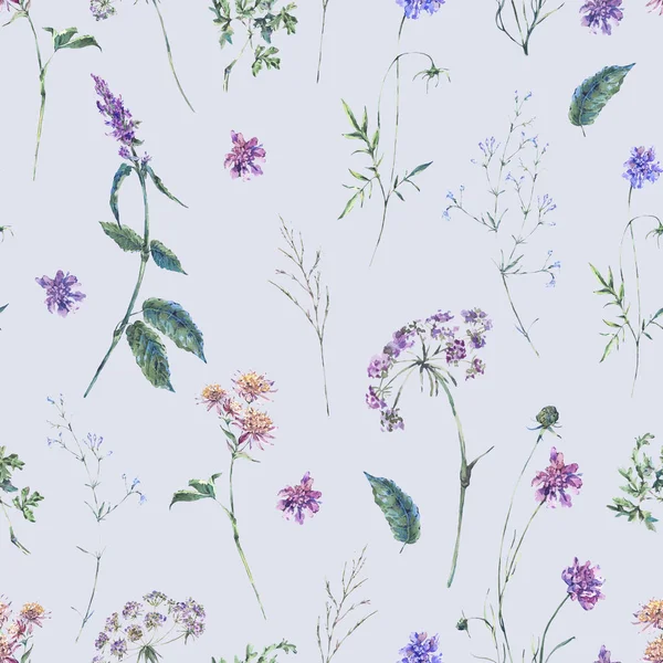 Watercolor summer wildflowers seamless pattern — Stock Photo, Image